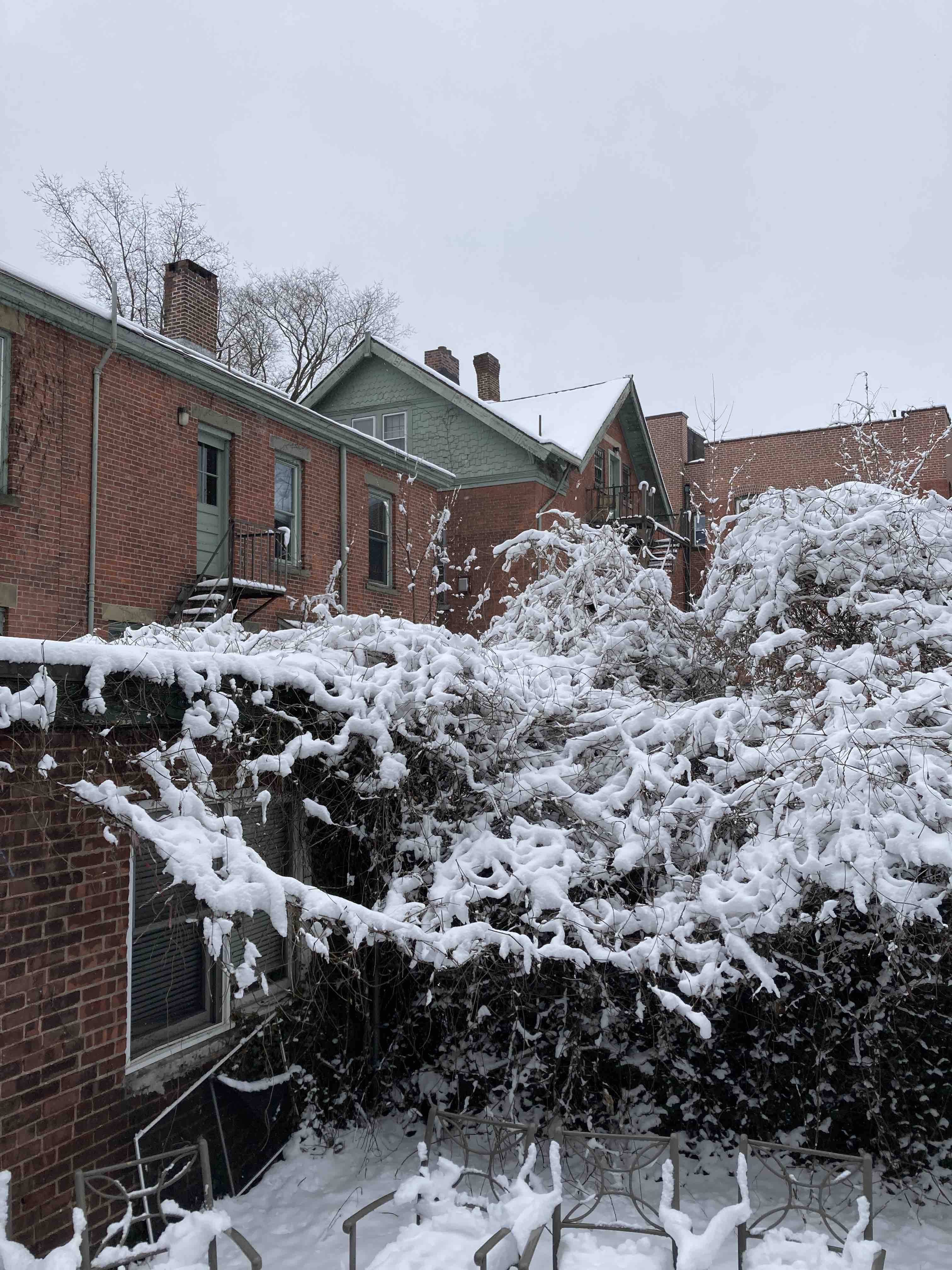 Snow in New Haven, 2/28/23